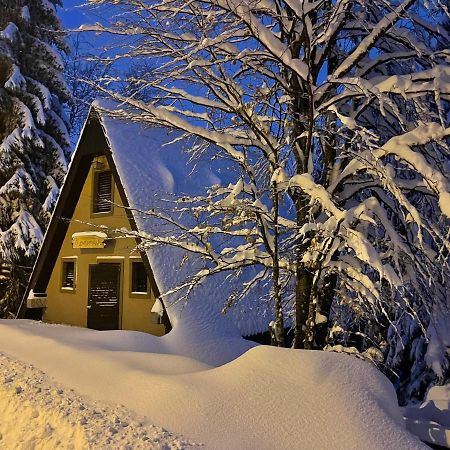 Holiday Home Kragovic Kopaonik Extérieur photo