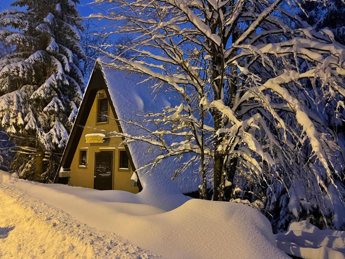 Holiday Home Kragovic Kopaonik Extérieur photo