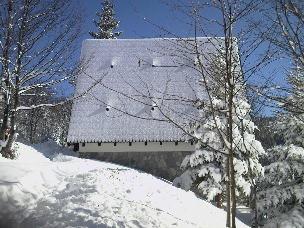 Holiday Home Kragovic Kopaonik Extérieur photo